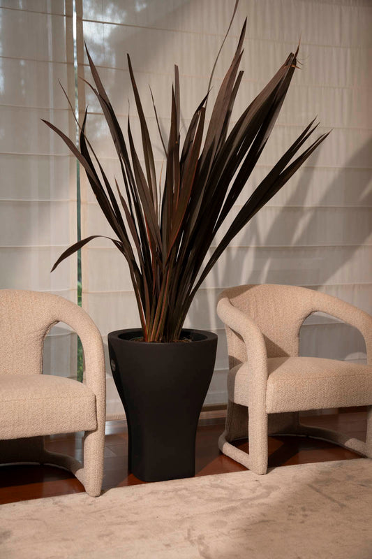 DOMUS DARK ANTRA