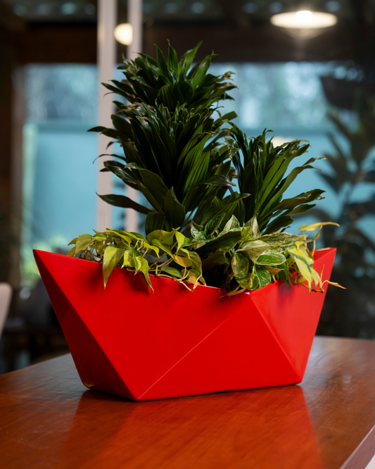 ORIGAMI