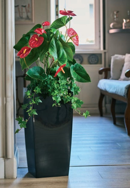 INFINITY