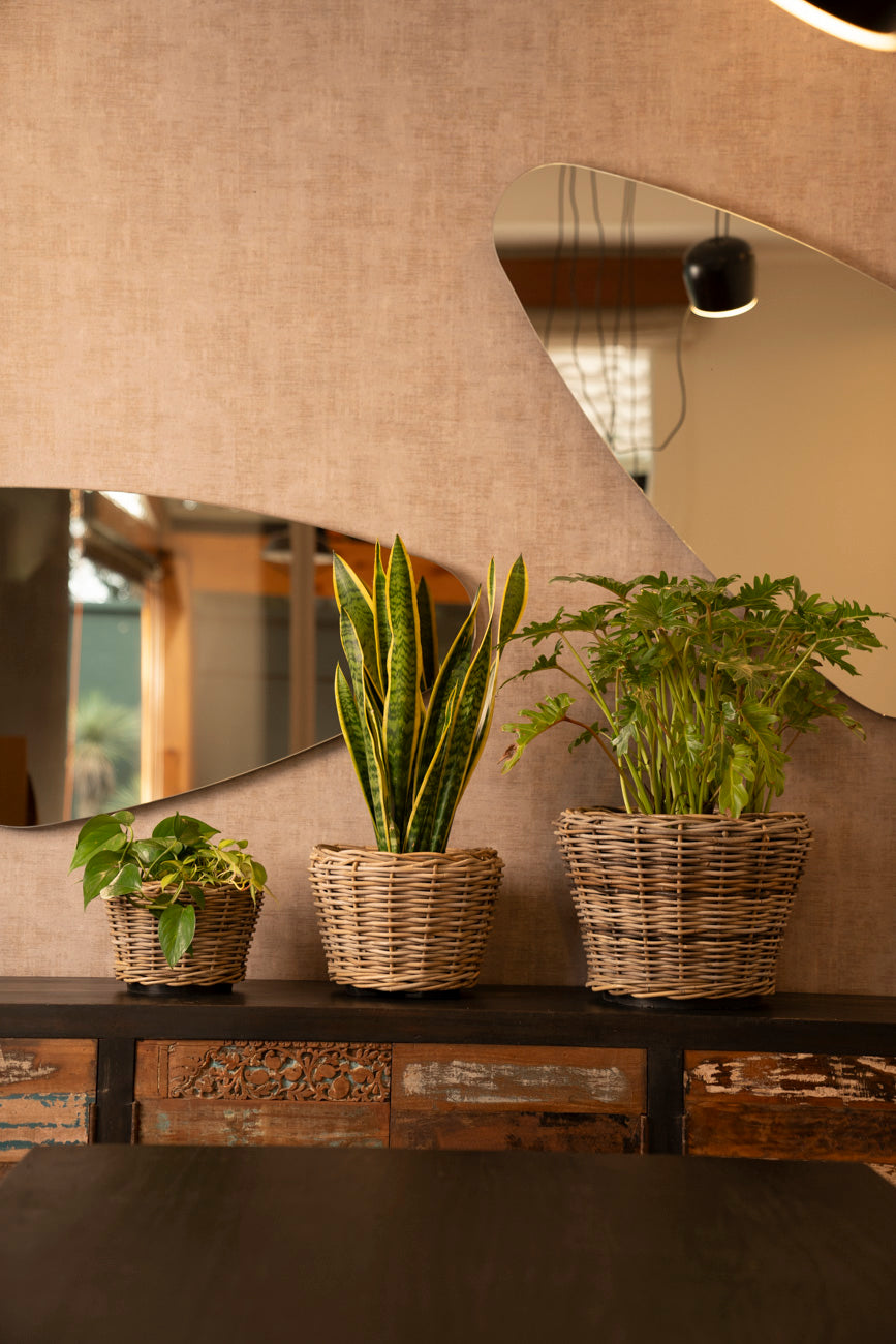 DRYPOT RATTAN ROUND