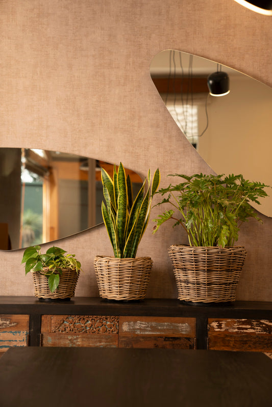 DRYPOT RATTAN ROUND